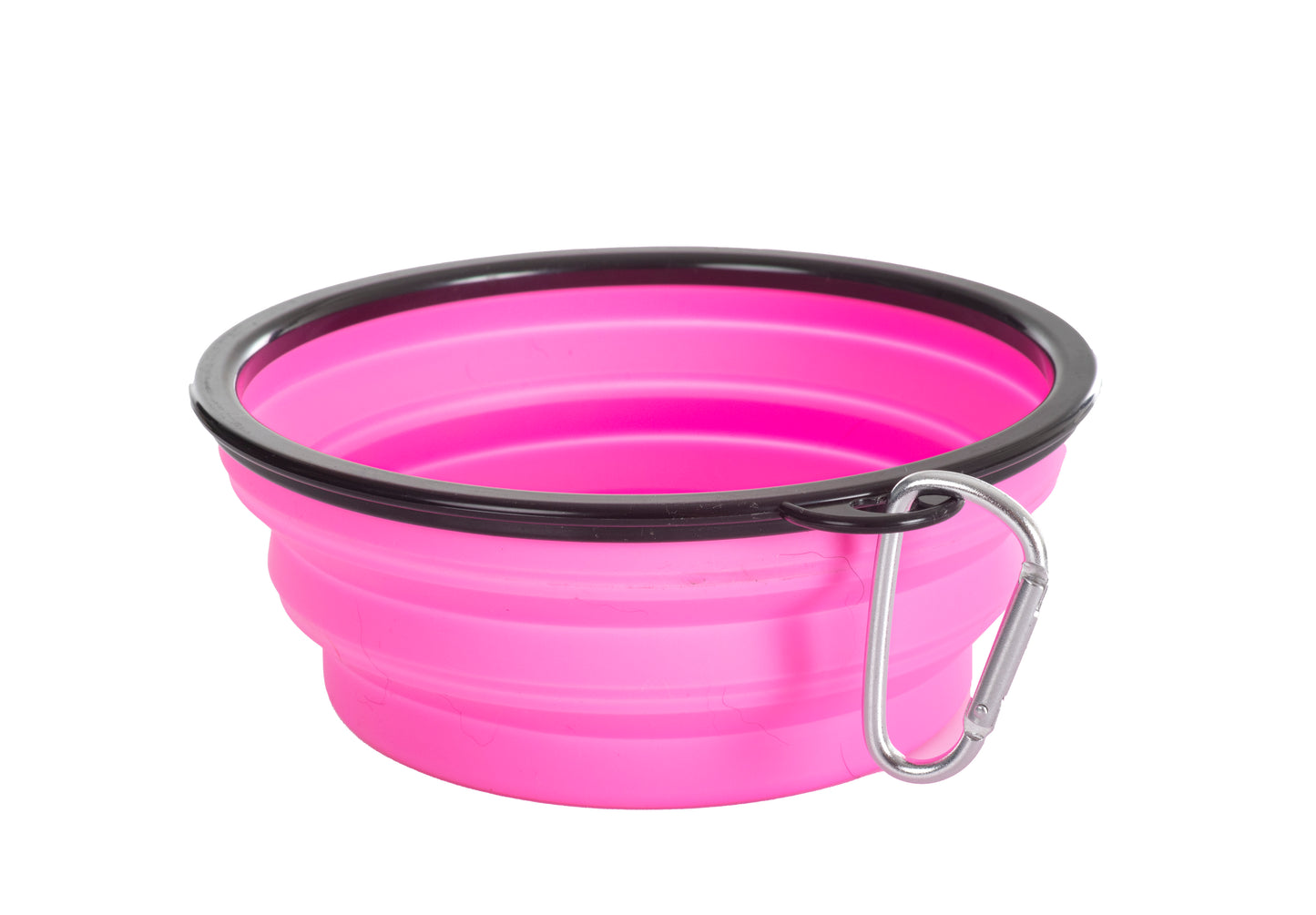 Travel Dog Bowl